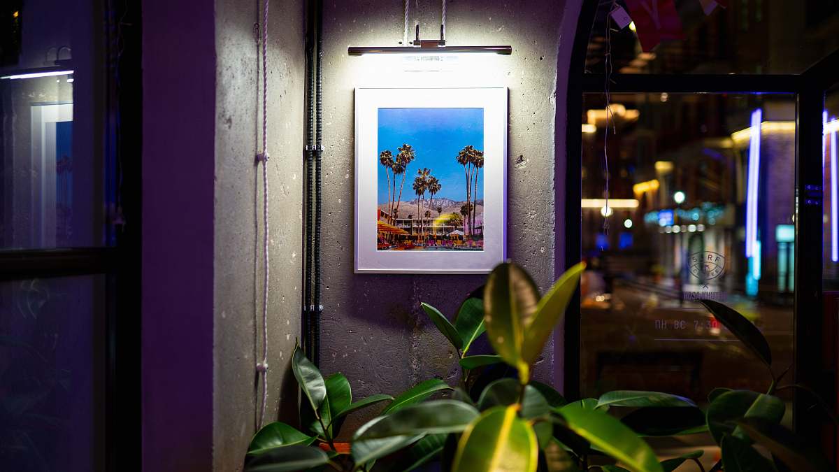 indoors green plant beside wall interior design